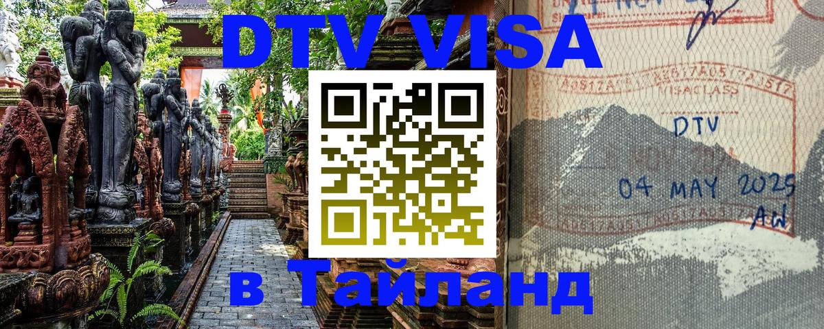 Оформление DTV визы под ключ: стоимость и тарифы, только загранпаспорт - 